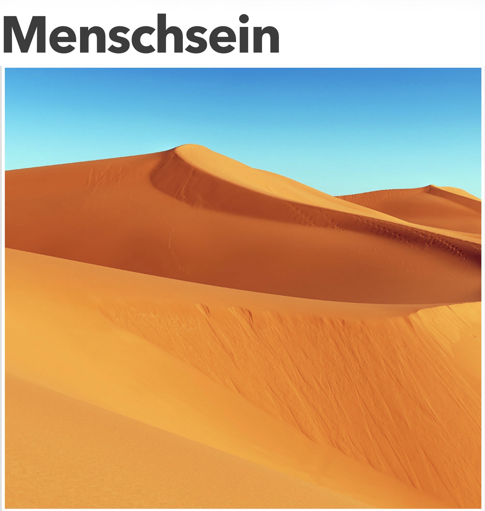 Menschsein